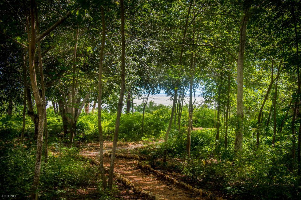 Cayuco Camping Baru Hotel Santa Ana  Buitenkant foto